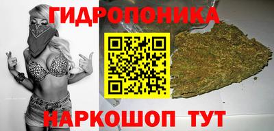 apvp Владивосток